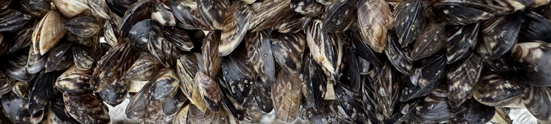 Tribometer Pruefkombination dv