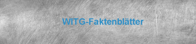 WITg Forschungsschwerpunkte dv web